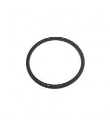 O-ring 21138584